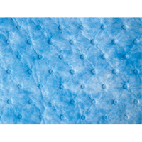 Balayage absorbant pour huile seulement Haskins Industrial Inc.