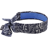 Chill-Its&reg; 6700CT Cooling Bandanas, Blue Haskins Industrial Inc.