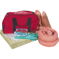 Premium Vehicle Spill Kit, Hazmat, Bag, 10 US gal. Absorbancy Haskins Industrial Inc.