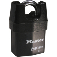 Cadenas prot&eacute;g&eacute; ProSeries, Noir, Cl&eacute;s diff&eacute;rentes, Acier lamin&eacute;, Largeur de 2-3/8" Haskins Industrial Inc.
