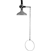 Lifesaver&reg; Emergency Overhead Showers, Ceiling-Mount Haskins Industrial Inc.