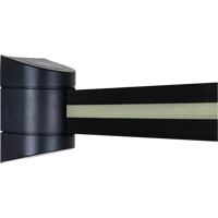 Unit&eacute;s murales Tensabarrier, Plastique, Fixation par vis, 15', Ruban Noir Haskins Industrial Inc.