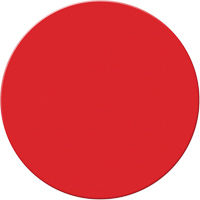 Marqueurs all&eacute;g&eacute;e/5S Armor Stripe, Cercle, 6" lo x 6" la, Rouge, Plastique Haskins Industrial Inc.