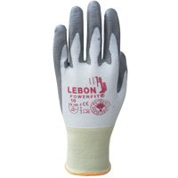Gants r&eacute;sistants &agrave; la coupe PowerFit Lebon, Taille Grand/9, Calibre 13, Rev&ecirc;tement Polyur&eacute;thane, Enveloppe en Poly&eacute;thyl&egrave;ne, ASTM ANSI niveau A2/EN 388 niveau B Haskins Industrial Inc.