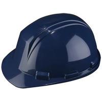 Dynamic Mont-Blanc Hardhat, Meets CSA Type 2, Pinlock Suspension, Non-Vented Haskins Industrial Inc.