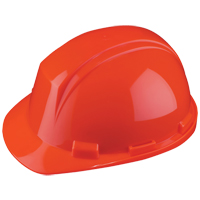 Casque Mont-Blanc de North, R&eacute;pond aux normes CSA type 2, Suspension Rochet, Non ventil&eacute; Haskins Industrial Inc.