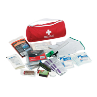 Trousse de premiers soins pour auto Dynamic, Dispositif m&eacute;dical Classe 1, Sac en nylon Haskins Industrial Inc.
