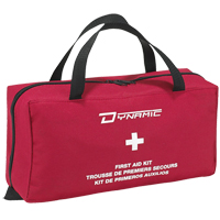 Dynamic Regular House First Aid Kit, Class 1 Medical Device, Nylon Bag Haskins Industrial Inc.