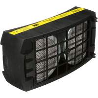 Speedglas Cartridge, P100 Filter, Pack of 1 Haskins Industrial Inc.