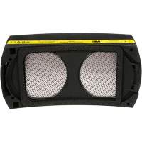 Speedglas Cartridge, P100 Filter, Pack of 1 Haskins Industrial Inc.