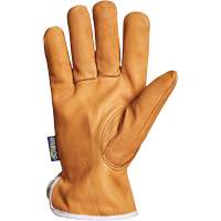 Endura&reg; Driver's Glove, Small, Grain Goatskin Palm, Thinsulate Inner Lining Haskins Industrial Inc.