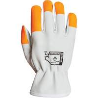 Endura&reg; Driver's Gloves, Small, Grain Goatskin Palm Haskins Industrial Inc.