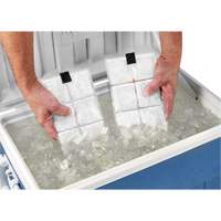 Chill-Its&reg; 6250 Phase Change Cooling Vest Packs Haskins Industrial Inc.