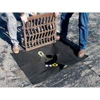 Storm Sentinel&reg; Catch Basin Insert, Sediment, 48" L x 36" W Haskins Industrial Inc.
