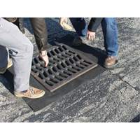 Storm Sentinel&reg; Catch Basin Insert, Sediment, 48" L x 36" W Haskins Industrial Inc.