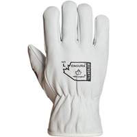 Endura&reg; Winter-Lined Driver Gloves, X-Large, Grain Goatskin Palm, Thinsulate Inner Lining Haskins Industrial Inc.