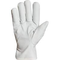 Endura&reg; Winter-Lined Driver Gloves, X-Large, Grain Goatskin Palm, Thinsulate Inner Lining Haskins Industrial Inc.