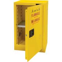 Flammable Storage Cabinet, 12 gal., 1 Door, 23" W x 35" H x 18" D Haskins Industrial Inc.