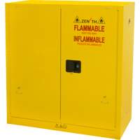 Flammable Storage Cabinet, 30 gal., 2 Door, 43" W x 44" H x 18" D Haskins Industrial Inc.