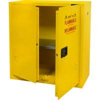 Flammable Storage Cabinet, 30 gal., 2 Door, 43" W x 44" H x 18" D Haskins Industrial Inc.