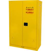 Flammable Storage Cabinet, 45 gal., 2 Door, 43" W x 65" H x 18" D Haskins Industrial Inc.