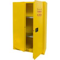 Flammable Storage Cabinet, 45 gal., 2 Door, 43" W x 65" H x 18" D Haskins Industrial Inc.