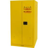 Flammable Storage Cabinet, 60 gal., 2 Door, 34" W x 65" H x 34" D Haskins Industrial Inc.
