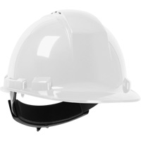 Dynamic Whistler Hardhat, Meets CSA Type 1, Ratchet Suspension, Vented Haskins Industrial Inc.