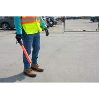 Safety Baton Light Haskins Industrial Inc.