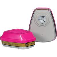 Cartouche, Combinaison cartouche et filtre contre les particules pour gaz/vapeurs, Gaz multiples/Vapeurs/P100 Haskins Industrial Inc.