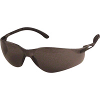 SenTec Safety Glasses, Grey Lens, Anti-Scratch, Meets/Exceeds CSA Z94.3 Haskins Industrial Inc.