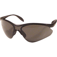 Miranda Safety Glasses, Grey Lens, Anti-Scratch, Meets/Exceeds CSA Z94.3 Haskins Industrial Inc.