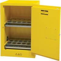Flammable Aerosol Storage Cabinet, 12 gal., 1 Door, 23" W x 35" H x 18" D Haskins Industrial Inc.