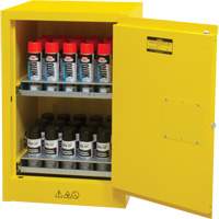 Flammable Aerosol Storage Cabinet, 12 gal., 1 Door, 23" W x 35" H x 18" D Haskins Industrial Inc.