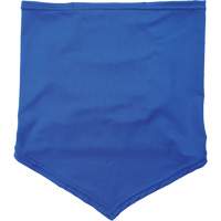 Chill-Its 6483 Cooling Neck Gaiter Bandana with Pocket, Blue Haskins Industrial Inc.