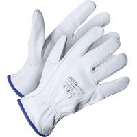 Delta Force Driver's Glove, 9/Large, Grain Goatskin Palm, Kevlar&reg; Inner Lining Haskins Industrial Inc.