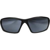 Lunettes de s&eacute;curit&eacute; Robson avec joint, Lentille Miroir argent&eacute;, Anti-&eacute;gratignures/Polaris&eacute;, ANSI Z87+/MCEPS GL-PD 10-12/R&eacute;pond ou surpasse la norme CSA Z94.3 Haskins Industrial Inc.