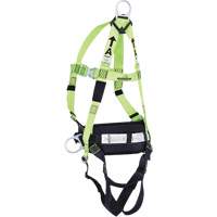 FBH10000L1020-S  Contractor Series Safety Harness with Positioning Belt, CSA Certified, Class ALP, Small Haskins Industrial Inc.