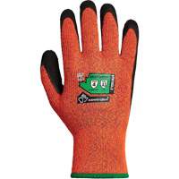 Dexterity&reg; TKTAGLX Cold-Rated Cut-Resistant Gloves, Size Medium, 13 Gauge, Latex Coated, TenActiv Shell, ASTM ANSI Level A3 Haskins Industrial Inc.