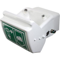 Eye/Face Wash, Wall-Mount Installation, Plastic Bowl Haskins Industrial Inc.