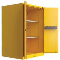 Utili-Guard+ Flammable Safety Cabinet, 45 gal., 2 Door, 43" W x 65" H x 22" D Haskins Industrial Inc.