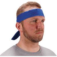 Bandeau de refroidissement Chill-Its 6702 avec polym&egrave;res int&eacute;gr&eacute;s et fermeture &agrave; nouer, Bleu Haskins Industrial Inc.