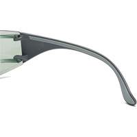 Adapt Lite Safety Glasses, Indoor/Outdoor Lens, Anti-Fog/Anti-Scratch, ANSI Z87+/Meets/Exceeds CSA Z94.3 Haskins Industrial Inc.