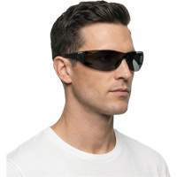 Adapt Lite Safety Glasses, Smoke Lens, Anti-Fog/Anti-Scratch, ANSI Z87+/Meets/Exceeds CSA Z94.3 Haskins Industrial Inc.