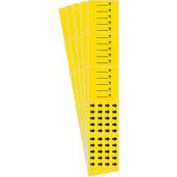 "Blank °F" Pipe Markers, Self-Adhesive, 2-1/4" H x 14" W, Black on Yellow Haskins Industrial Inc.