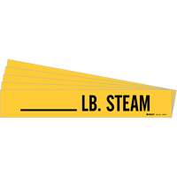 "LB. Steam" Pipe Markers, Self-Adhesive, 2-1/4" H x 2-3/4" W, Black on Yellow Haskins Industrial Inc.