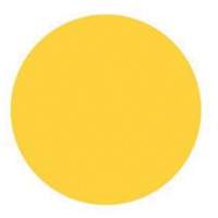 Round Write-On Labels, Circle, 3" L x 3" W, Yellow Haskins Industrial Inc.