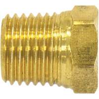 Pipe Plug (Hex Head), 1/4" Dia., Brass Haskins Industrial Inc.