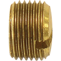Bouchon de tuyau (avec fentes), 1/8" dia., Laiton Haskins Industrial Inc.