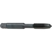 Taraud &agrave; entr&eacute;e h&eacute;licoidale, Acier rapide au cobalt, Filet de 8-32, 2-1/8" l Haskins Industrial Inc.
